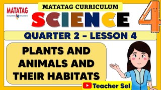 SCIENCE 4 QUARTER 2 WEEK 4 MATATAG  PLANTS AND ANIMALS AND THEIR HABITATS [upl. by Theodosia]