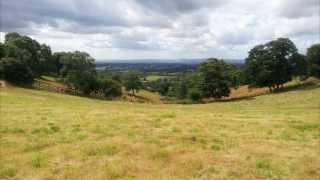 Running practice  Waseley Hills Country park UK [upl. by Arral]