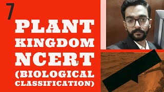 KINGDOM PLANTAE FROM BIOLOGICAL CLASSIFICATION [upl. by Anavoj542]