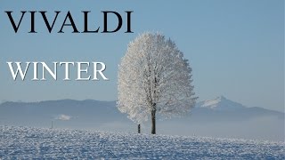 VIVALDI  The Four Seasons Winter quotLinvernoquot FULL  Classical Music HD [upl. by Einahteb580]