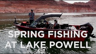 Spring Fishing and New Lund Boat Unveiled at Lake Powell [upl. by Landan]