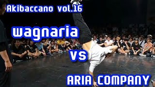 Akibaccano Vol16 『あきばっか～のvol16』 BEST16 wagnaria vs ARIA COMPANY [upl. by Dekeles]