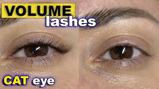 CAT EYE lash extensions  2D volume with thin eyelashes 007 with L curl [upl. by Miller]