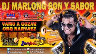 Vamo a Gozar  Orq Narvaez  DJ Marlong Son y Sabor [upl. by Aicsila]