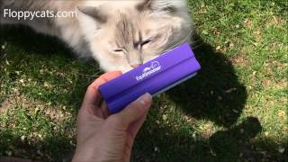 EquiGroomer Cat Deshedding Tool Unboxing Video for Product Review  Floppycats [upl. by Esila462]