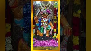 Karkkuvel Ayyanarin  Karuppasamy Devotional Songs shorts bakthi tamilgodsongs [upl. by Siva538]