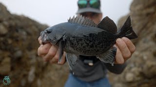 Fishing for Rockfish on the California Coast [upl. by Winifield]