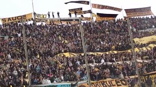 PEÑAROL  BARRA AMSTERDAM  quotPEÑAROL ES ASÍ EL ORGULLO DE TODO EL PAÍSquot Sub ESEN [upl. by Norved]