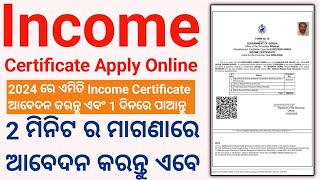 Income Certificate Apply Online 2024  How to Apply Online Income Certificate in Odia [upl. by Stoops]