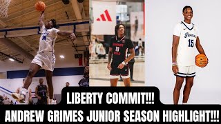 LIBERTY COMMIT 6’8 Andrew Grimes Junior Season Highlights [upl. by Geithner]