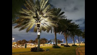 Palm Tree Ring Light  Landscape Lighting  Garden Lighting  Hondel Lighting [upl. by Garrity]