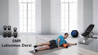 How to do a Self Myofascial Release SMR Latissimus Dorsi [upl. by Ezirtaeb]