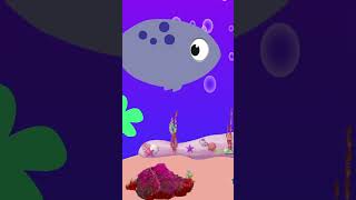 Soothing Fish Video Lullaby  Bedtime Lullaby And Calming undersea fishrelaxingmusic fishlullaby [upl. by Atteve]