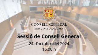 Sessió de Consell General [upl. by Iphagenia]