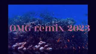 OMG remix 2023 [upl. by Norah379]