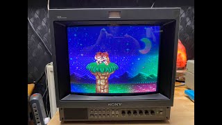 SONY PVM [upl. by Brander]