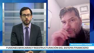 Fusiones bancarias y reestructuración del sistema financiero  Parte 2 [upl. by Humbert]