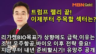 이효근의 텐텐텐 1113트럼프랠리 끝 이제부터 주목할 섹터는 리가켐 목표가 상향에도 급락 이유는 조선바이오우주 이후전략중요 지금부터 내년을 준비할 유망주 공개 [upl. by Eznyl]