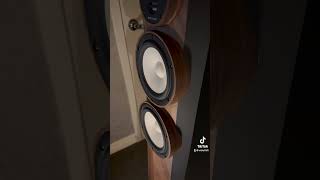 Margules Check them out Made in Mexico hifi [upl. by Kayle524]