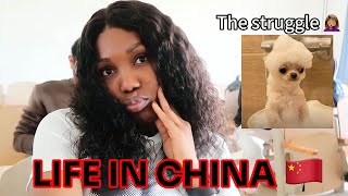 DAY IN THE LIFE OF AN INTERNATIONAL STUDENT IN CHINA PATRICIA IBE [upl. by Rednaskela]