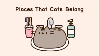 Pusheen Places That Cats Belong [upl. by Bainbridge]