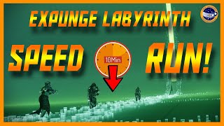 Destiny 2  Expunge Labyrinth Speed Run In Under 10 Minutes If I Can You Can [upl. by Ynohtnaeoj422]