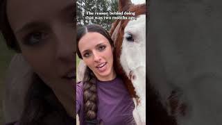 Peach’s roached mane controversy pt 1 horse horsegirl equestrian horses farm farmlife [upl. by Anitahs]