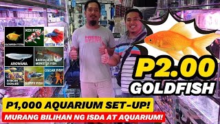 CARTIMAR PETSHOP BILIHAN MURANG ISDA AT AQUARIUM GOLDFISH 2 PESOS ONLY P1000 AQUARIUM SETUP [upl. by Roice]