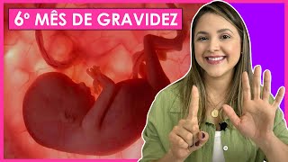 6 MESES DE GRAVIDEZ  SINTOMAS DE GRAVIDEZ EVOLUÇÃO DO BEBÊ E MUITO MAIS [upl. by Trocki]