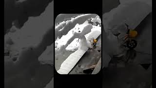 Unexpected Snowfall Hits a Working Woman Her Reaction Will Shock You [upl. by Buchbinder]