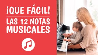 Las 12 NOTAS MUSICALES Explicadas ¡Así de Simple [upl. by Fidelity]