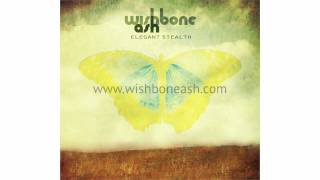 Wishbone Ash  Elegant Stealth  New Album for 2011 [upl. by Doretta]