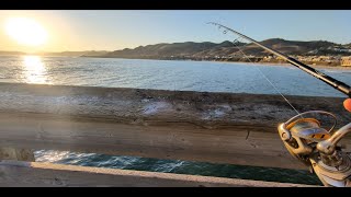 POV Pismo Beach Fishing  Beach and Pier Fishing [upl. by Nairrot]