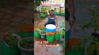 Rain water PH amp TDS analysis 🤔🤔 [upl. by Adieno296]