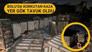 TAVUK YÜKLÜ KAMYONU DEVRİLDİ 1112024 [upl. by Aniret]