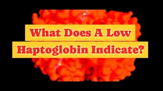 What Does Low Haptoglobin Indicate [upl. by Annette189]