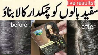 Luvvel hair darkening shampoo review  Demo price side effects [upl. by Cotter]