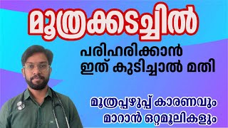 മൂത്രപ്പഴുപ്പ്  മൂത്രക്കടച്ചിൽ മാറാൻ ഇത് കുടിക്കുക  Urinary Tract Infection treatment [upl. by Minta]