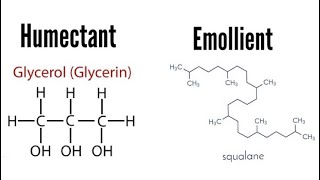 Humectants and Emollients  Know Your Ingredients [upl. by Russell]