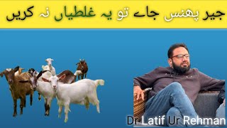 clostridial myositis in goat Dr latif Ur Rehman [upl. by Ardnuhsed]