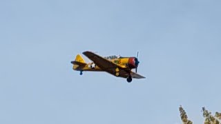 Commemorative Air Force North American SNJ6 Texan Landing in Minneapolis N916DC [upl. by Dranrev516]