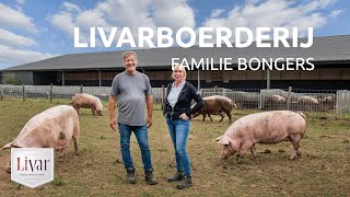 Toer de Boer Livarboerderij familie Bongers in Beesel [upl. by Ahsilrak]