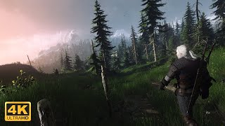 The Best Lighting Mod Ever Made For The Witcher 3  TooKVGX  4K [upl. by Cornish386]