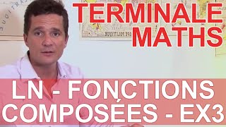 Logarithmes népériens  Fonctions composées  Ex 3  MATHS  TS TES  Les Bons Profs [upl. by Assirim]