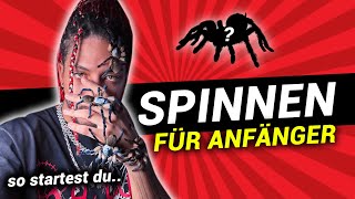 DIE PERFEKTEN SPINNEN ZUM EINSTEIGEN  EINFACH 🕷🔥 [upl. by Lobell]