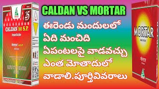 CALDAN ARE MORTAR WHICH IS THE BEST PESTICIDE FOR STEM BORER amp LEAF FOLDER Eruvaaka [upl. by Dyanne]