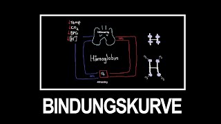 Sauerstoffbindungskurve einfach erklärt Grundlagen für angehende Mediziner [upl. by Lenard]