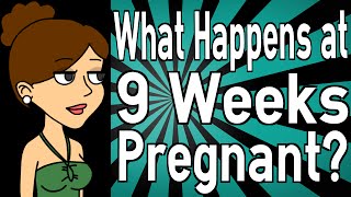 What Happens at 9 Weeks Pregnant [upl. by Nauquf]