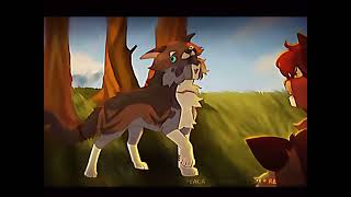 I love you not warrior cats edit [upl. by Avelin]