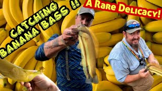 Banana Bass Fishing Mulberry River Oark Arkansas [upl. by Healey510]